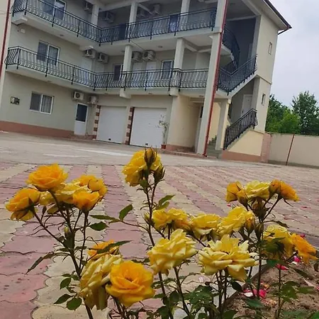 Pensionat Vila Olimpia *
